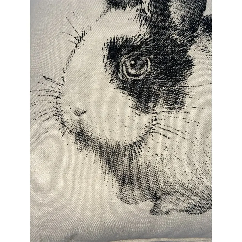 Eric & Christopher Screen Printed Bunny Pillow 11.5” X 13”